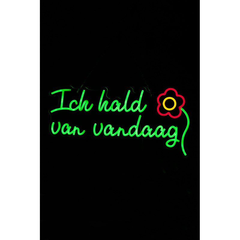 LED Neon Sign - Ich hald van vandaag - 60 x 21 cm