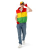 Bodywarmer Carnaval Limburg - rood-geel-groen